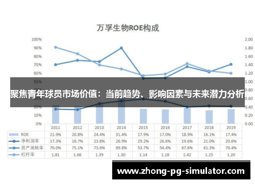 聚焦青年球员市场价值：当前趋势、影响因素与未来潜力分析
