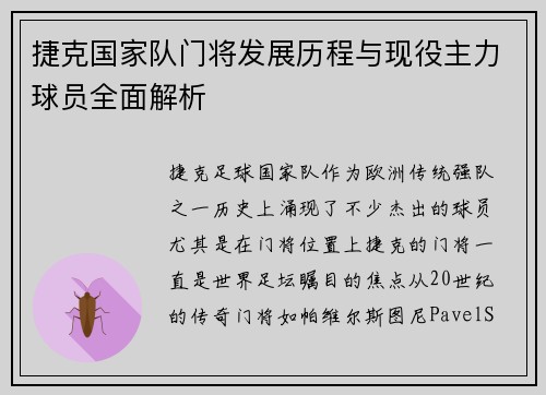 捷克国家队门将发展历程与现役主力球员全面解析